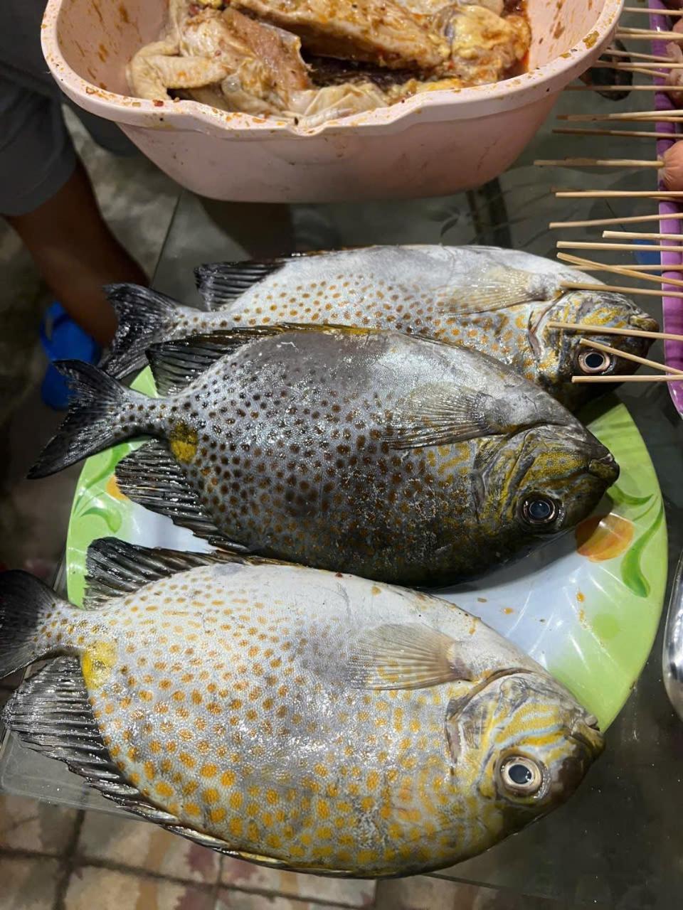 Nha Nghi Kim Ngan Ly Son Exterior foto
